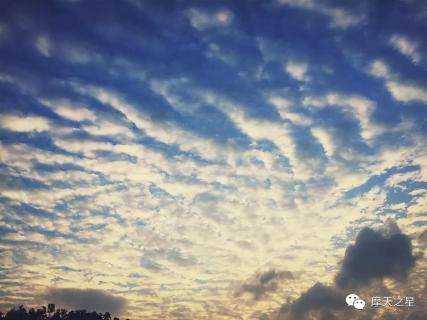 星光娱乐：基于新时代下的游学模式