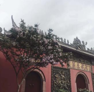 星光娱乐：助力公益活动建设，实现经济效益与社会效益的双赢！