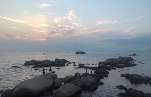星光娱乐：新的经营模式应当立足在商业模式之上